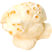 Popcorn Kernel One